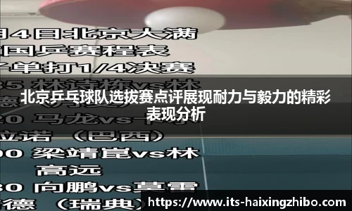 海星体育