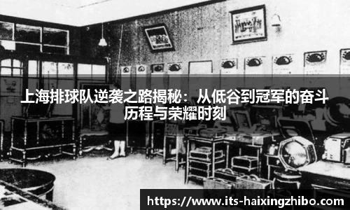 海星体育